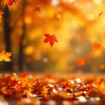 entdecken sie, wie drei sternzeichen im oktober liebe und erfolg anziehen. erfahren sie mehr über ihre besonderen eigenschaften und wie sie davon profitieren können.